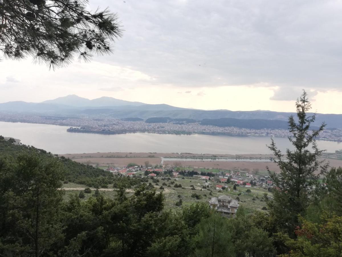 House With View In Amfithea Apartment Ioannina Bagian luar foto
